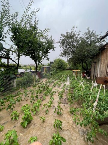 Terenul din spatele bisericii Sf Vasile cel mare, inundat de apele pluviale
