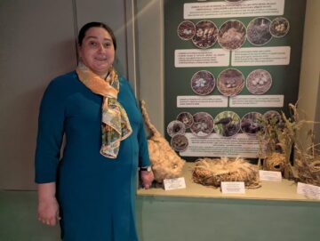 La Muzeul de Științele Naturii Suceava a fost reamenajată diorama dedicată pădurii de foioase