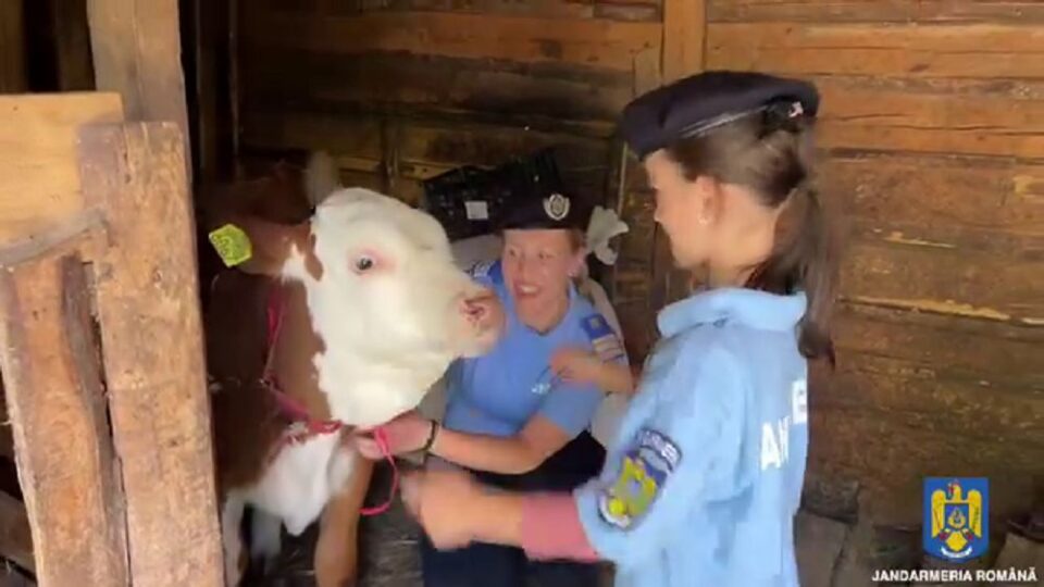 Jandarmii au venit cu Speranța pentru Andreea Georgiana, în vârstă de 8 ani