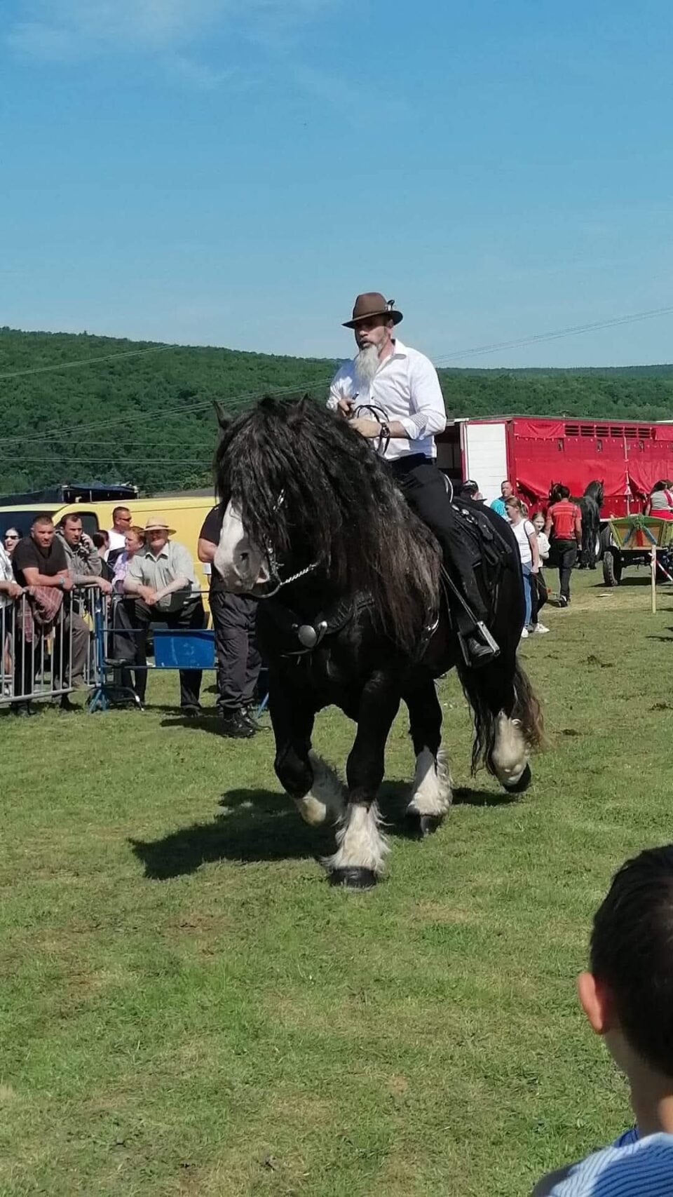 Armăsarul D’Artagnan, de 1.100 de kilograme, va deschide parada Festivalului Medieval