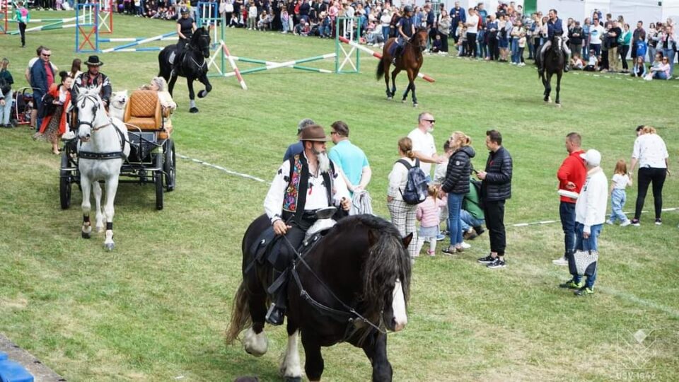 Armăsarul D’Artagnan, de 1.100 de kilograme, va deschide parada Festivalului Medieval