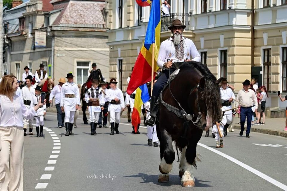Armăsarul D’Artagnan, de 1.100 de kilograme, va deschide parada Festivalului Medieval