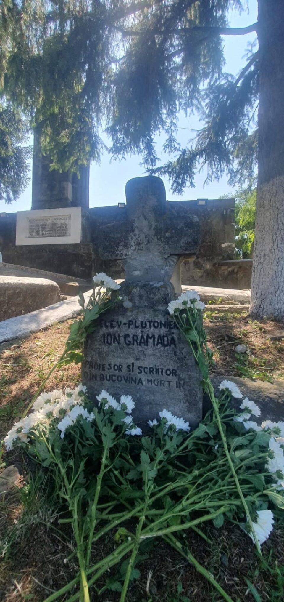 Mormântul vechi al lui Ion Grămadă