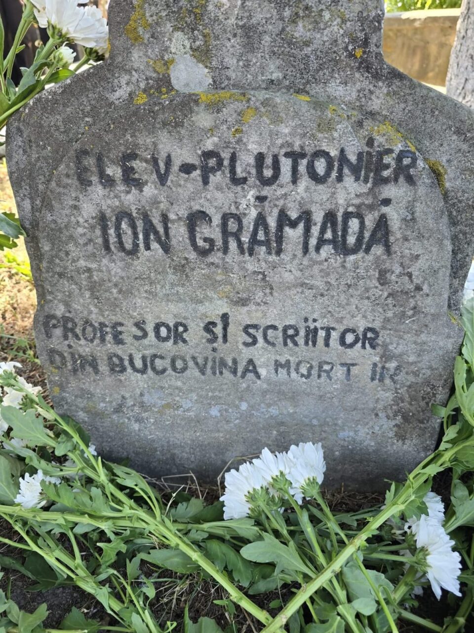 Eroul bucovinean Ion Grămadă, comemorat la crucea veche aflată în apropiere de locul în care a căzut în luptă