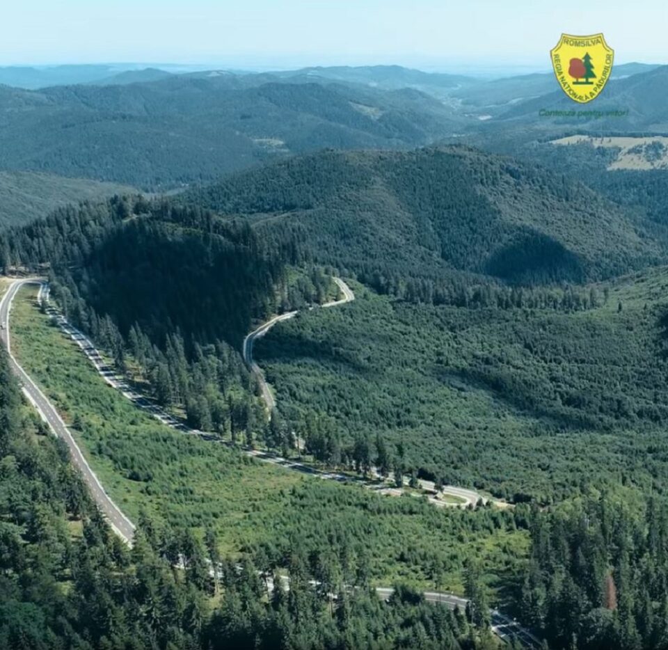 Pasul Stânișoara, de pe Drumul Talienilor, unde se spune că a murit Nechifor Lipan