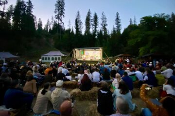 Nume mari ale folkului românesc vor concerta la Festivalul Național „Ridică-te, Ștefane!” de la Putna