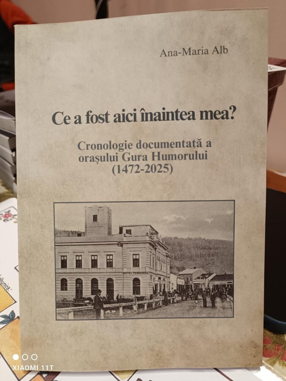 Volumul Ce a fost aici inaintea mea, semnat de Ana Maria Alb