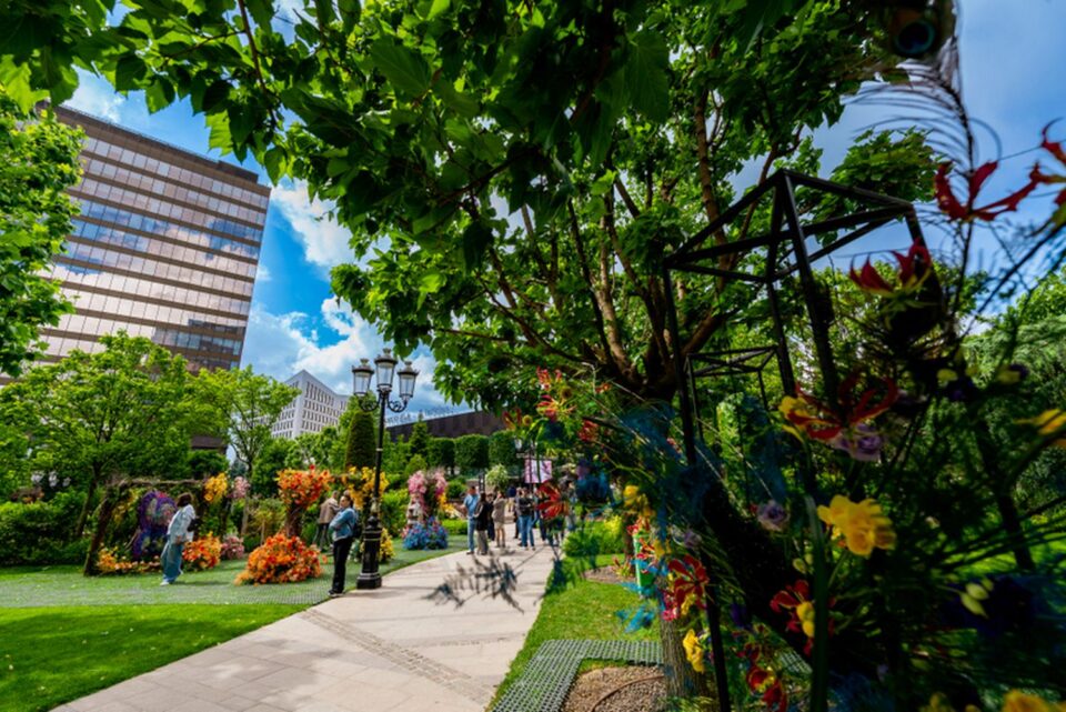 25 de ani de evenimente memorabile în rețeaua Iulius Mall și calendarul activităților viitoare