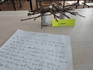 De la jocurile copilăriei la lecții de viață: o zi plină pentru elevii din Liteni