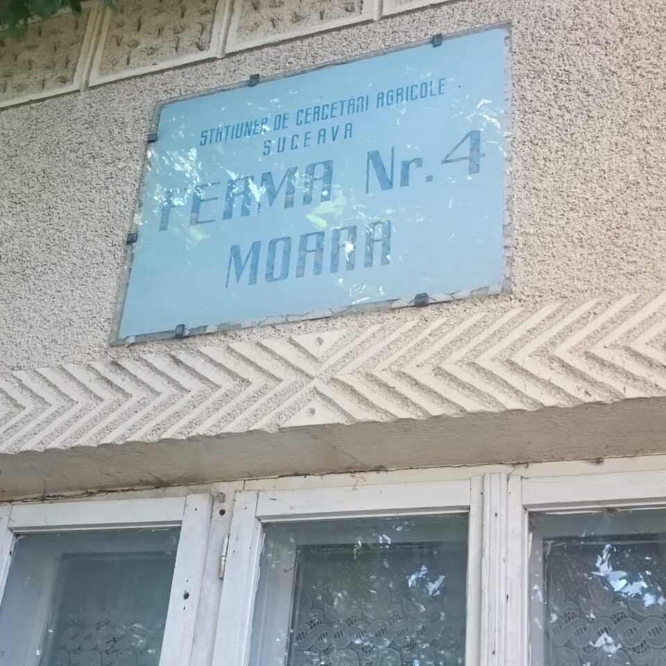 Un teren plin de bălării și clădiri în paragină, obiectul unei sesizări a președintelui României la Curtea Constituțională