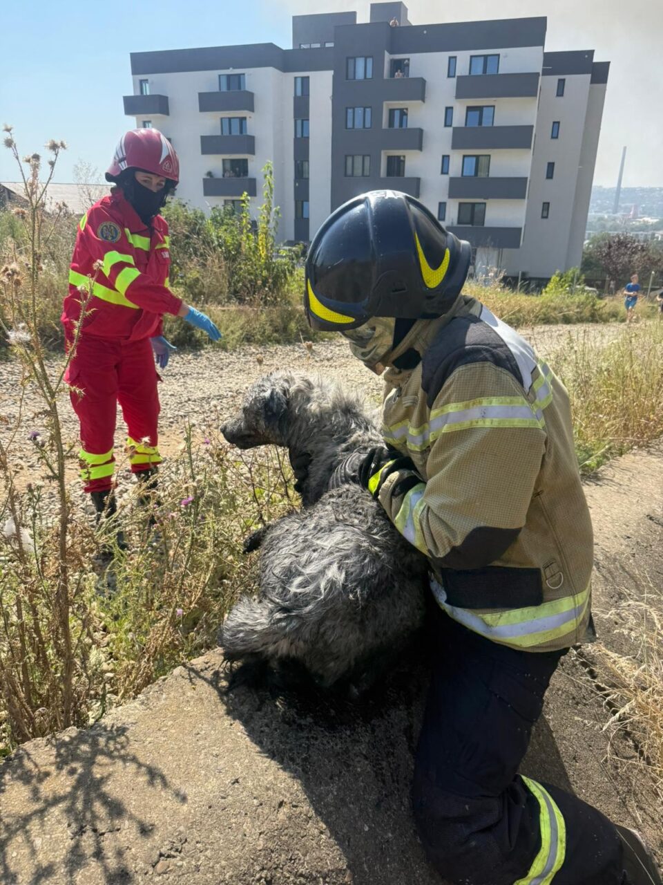Foc puternic la o casă din Burdujeni