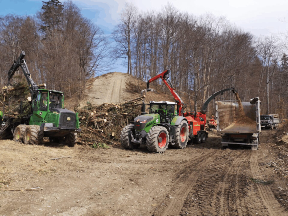 Forestierii, lemnul și viitorul verde – Ziua Forestierului 2025