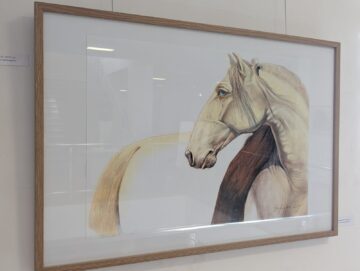Gabriela și Ion Drăghici, artiști plastici cu un stil și o abordare artistică distinctă, au expus pentru a doua oră la Suceava