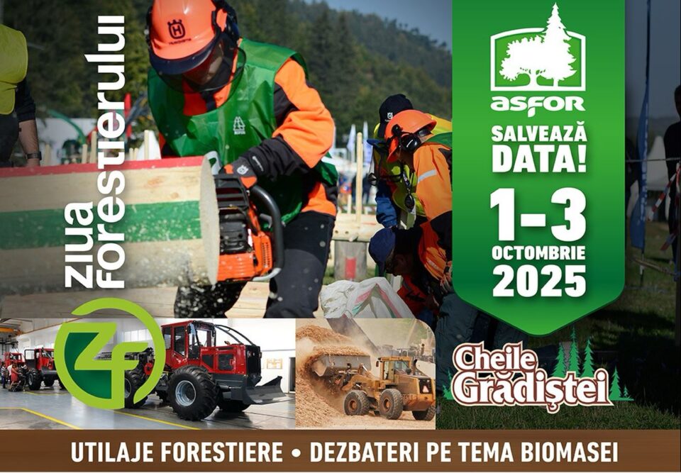 Forestierii, lemnul și viitorul verde – Ziua Forestierului 2025