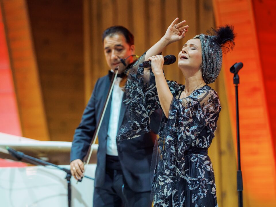 Public numeros la cele cinci concerte de muzică clasică din cadrul proiectului „Grădini Muzicale”, la Rădăuți - Foto credit - Doru Clipa