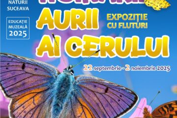 Expoziția temporară „Hoinarii aurii ai cerului”, o incursiune spectaculoasă în lumea fluturilor, la Muzeul de Științele Naturii