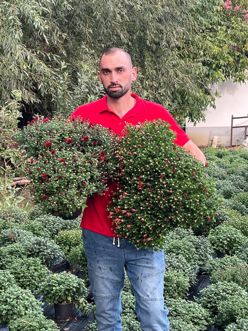 Serele de flori Gălănești – o afacere înflorită din pasiune și curaj, de un tânăr din comună