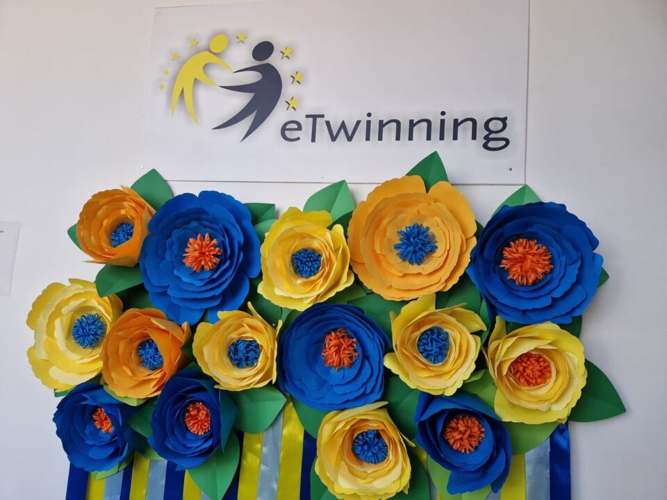 Șapte școli sucevene cu titlul „Școală eTwinning 2025”