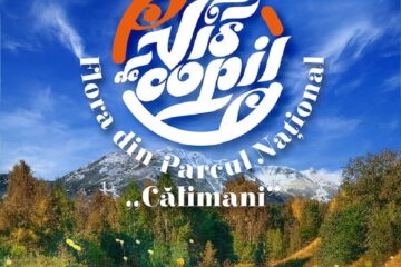 Elevii din zona Dornelor, invitați la concursul ”Vis de copil”. Flora din Călimani, sursă de inspirație