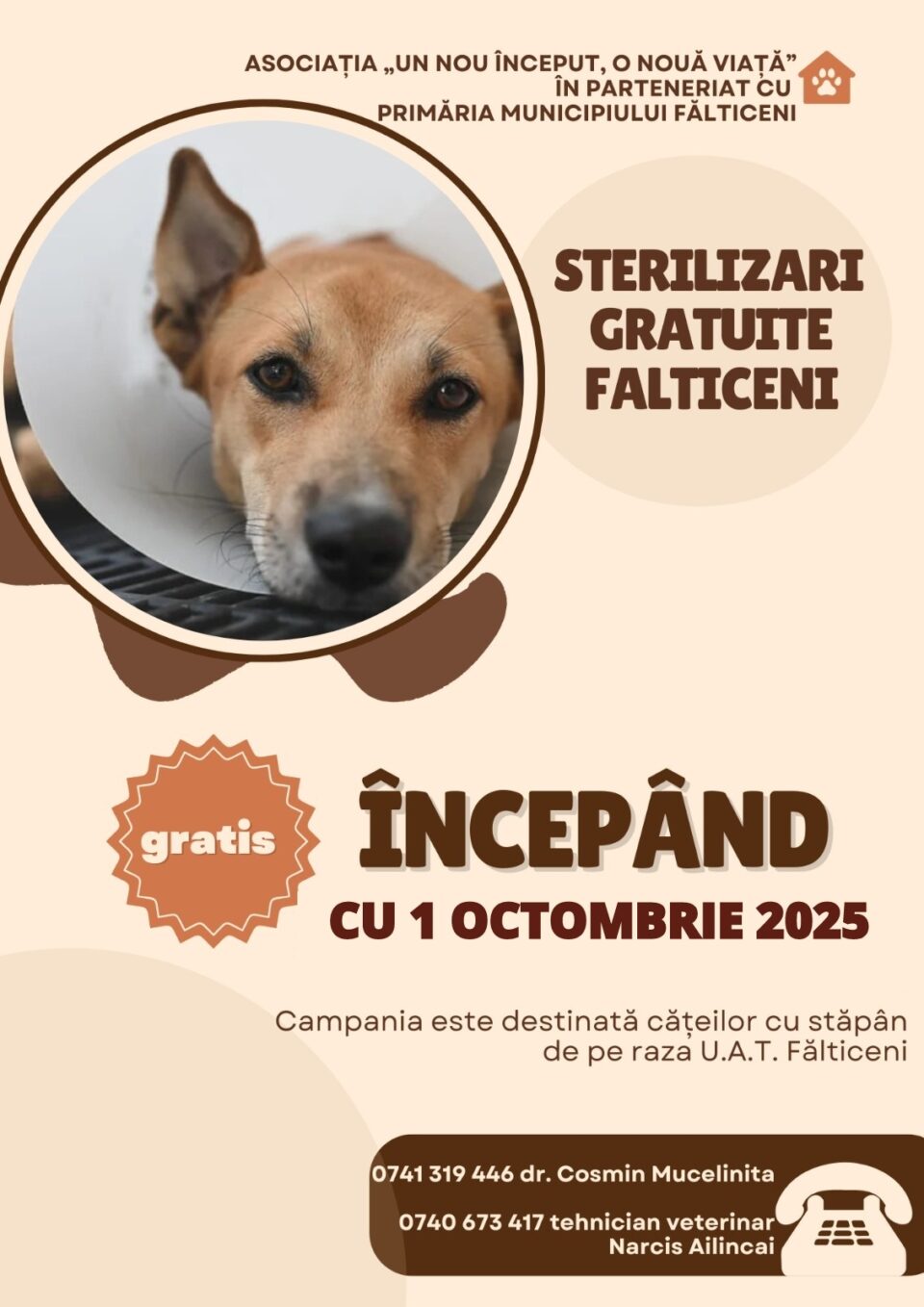 Primăria Fălticeni lansează, din 1 octombrie, campanie de sterilizări gratuite pentru câinii cu stăpân