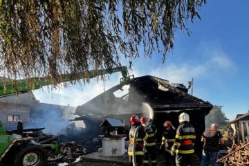 Un incendiu amplificat de vânt a distrus o gospodărie. Proprietarul a ajuns la spital, cu arsuri