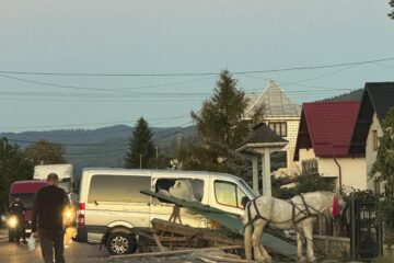 Șoferul unui microbuz a intrat violent într-o căruță, în timp ce depășea alt atelaj hipo