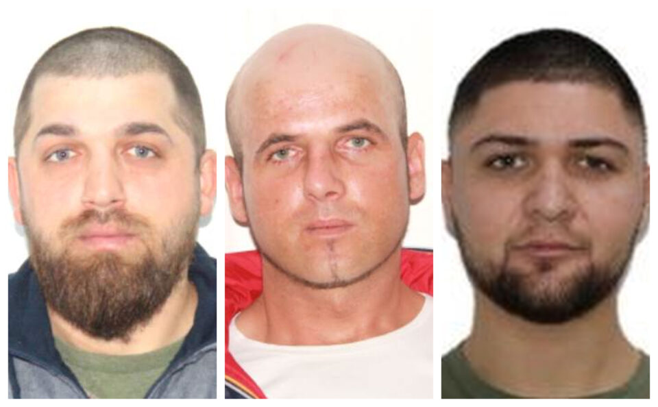 Mihai Cătălin Ciobotari, Mihai Popovici și Valentin Leonardo Covaci