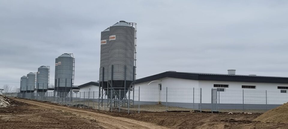 Ferma de porci de la Verești