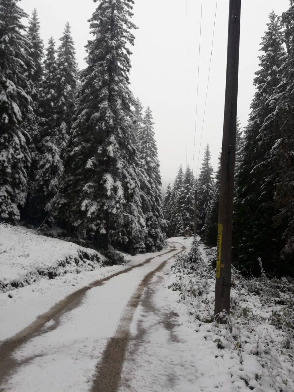Iarna și-a intrat în drepturi depline în zona de munte a județului Suceava