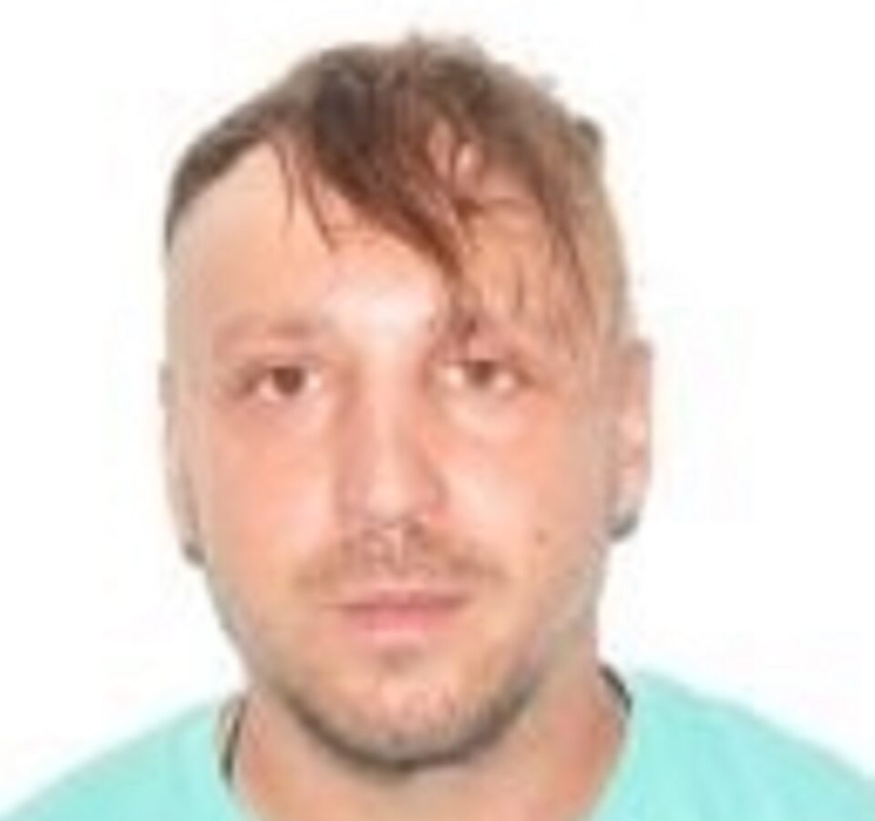 Pavel Florin Andronache