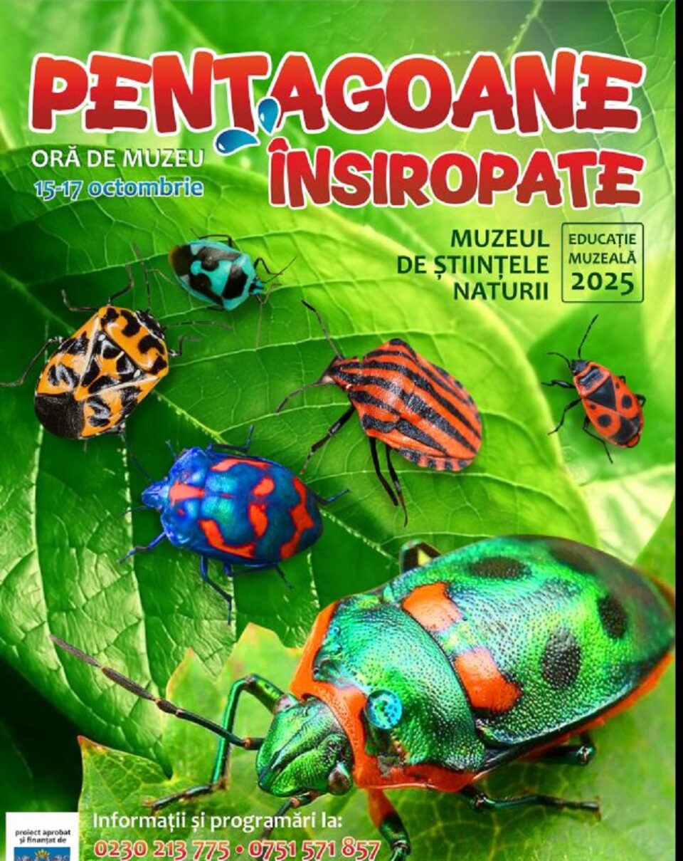 „Pentagoane însiropate”, o lecție inedită la Muzeul de Științele Naturii