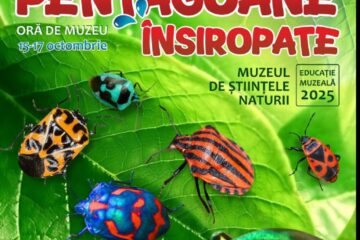 „Pentagoane însiropate”, o lecție inedită la Muzeul de Științele Naturii