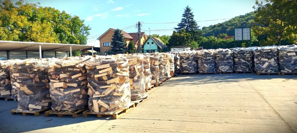 2 milioane de metri cubi de lemn pentru foc, oferite populației de RNP