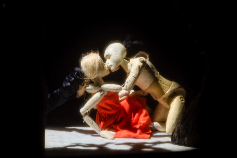 „Dincolo de maci” – experiență multisenzorială și contemplativă la Teatrul „Matei Vișniec” Suceava