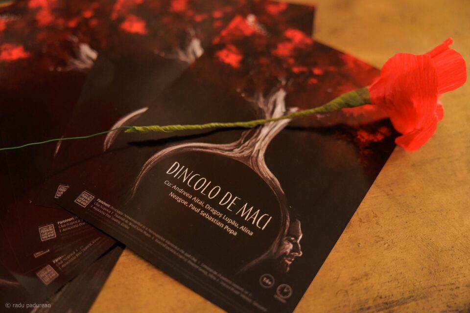 „Dincolo de maci” – experiență multisenzorială și contemplativă la Teatrul „Matei Vișniec” Suceava