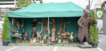 Astăzi începe Târgul de toamnă „Produs în Bucovina”, la Iulius Mall Suceava!