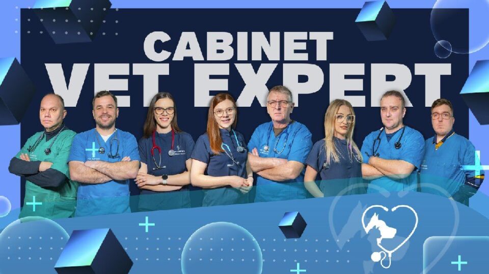 Echipa medicală de la Vet Expert