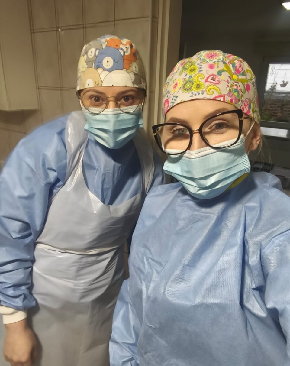 Campanie gratuită de sterilizare a câinilor în municipiul Suceava, la cabinetul Vet Expert