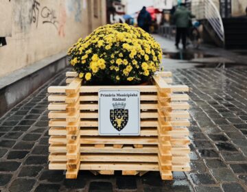 Primăria Rădăuți a înfrumusețat intrarea în piața centrală din municipiu cu nouă suporturi florale cu ghivece de crizanteme