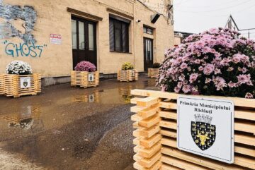 Primăria Rădăuți a înfrumusețat intrarea în piața centrală din municipiu cu nouă suporturi florale cu ghivece de crizanteme