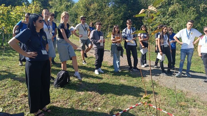 Toamnă încărcată de proiecte europene la Colegiul „Vasile Lovinescu”