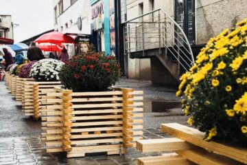 Primăria Rădăuți a înfrumusețat intrarea în piața centrală din municipiu cu nouă suporturi florale cu ghivece de crizanteme