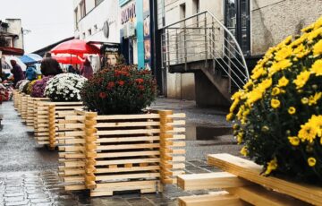 Primăria Rădăuți a înfrumusețat intrarea în piața centrală din municipiu cu nouă suporturi florale cu ghivece de crizanteme
