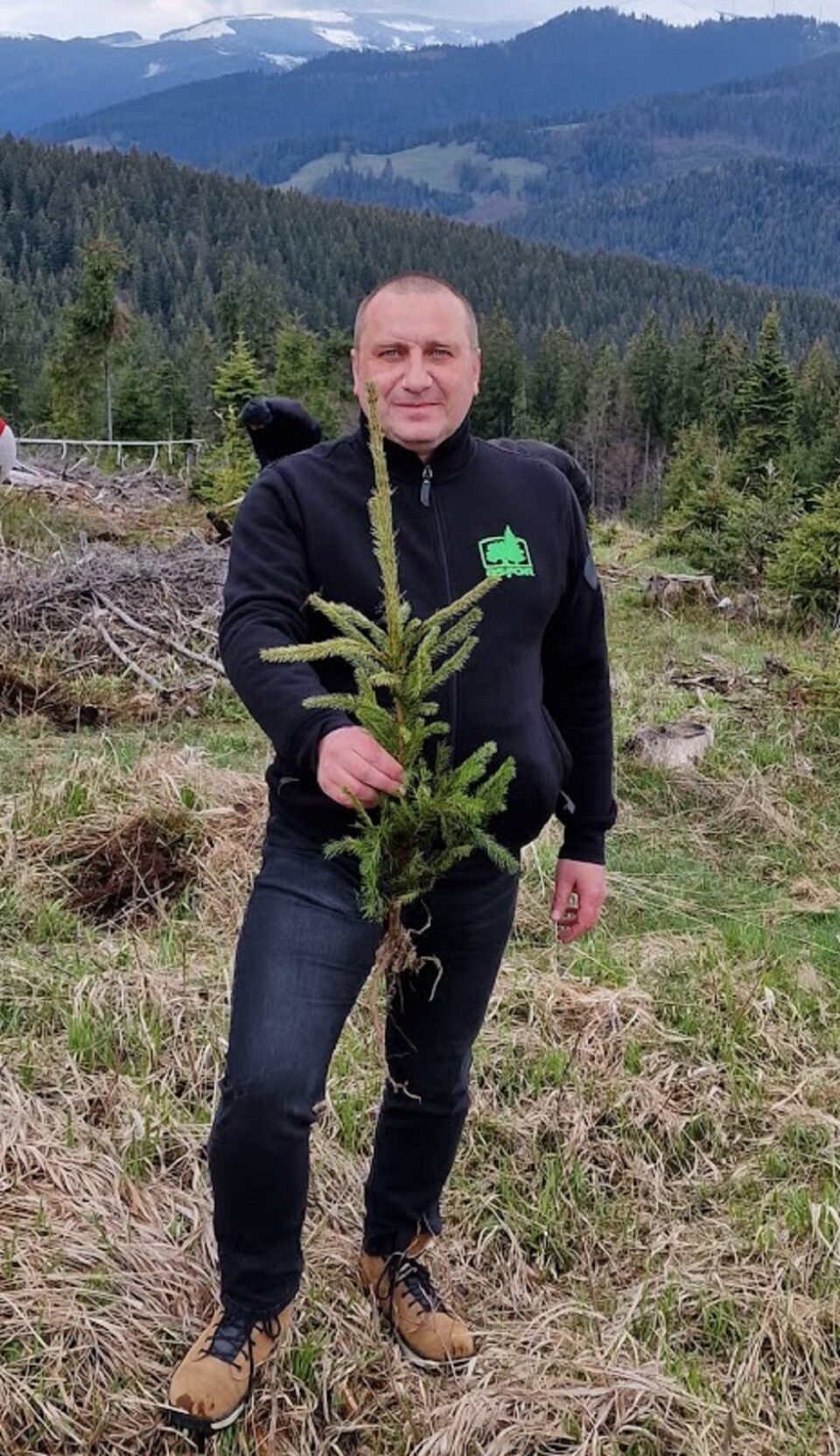 Cum se fabrică, periodic, „dezastrul” din pădurile României