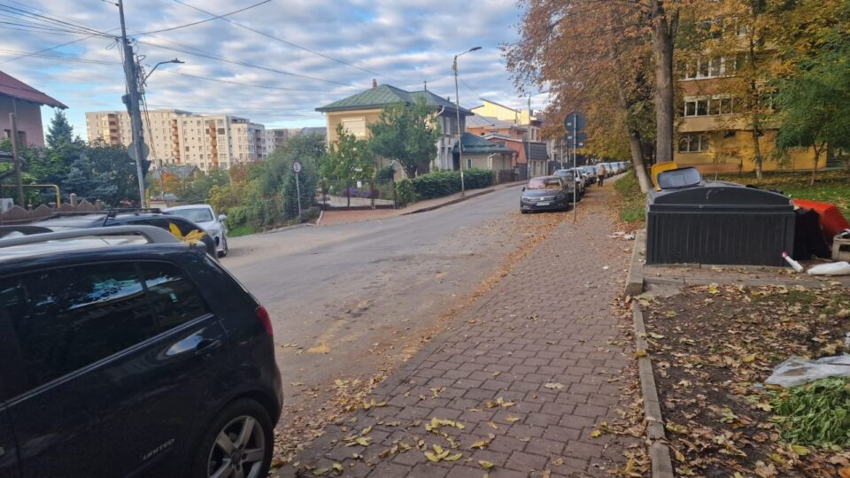 Copil atacat de șapte câini în apropierea Grădiniței Așchiuță