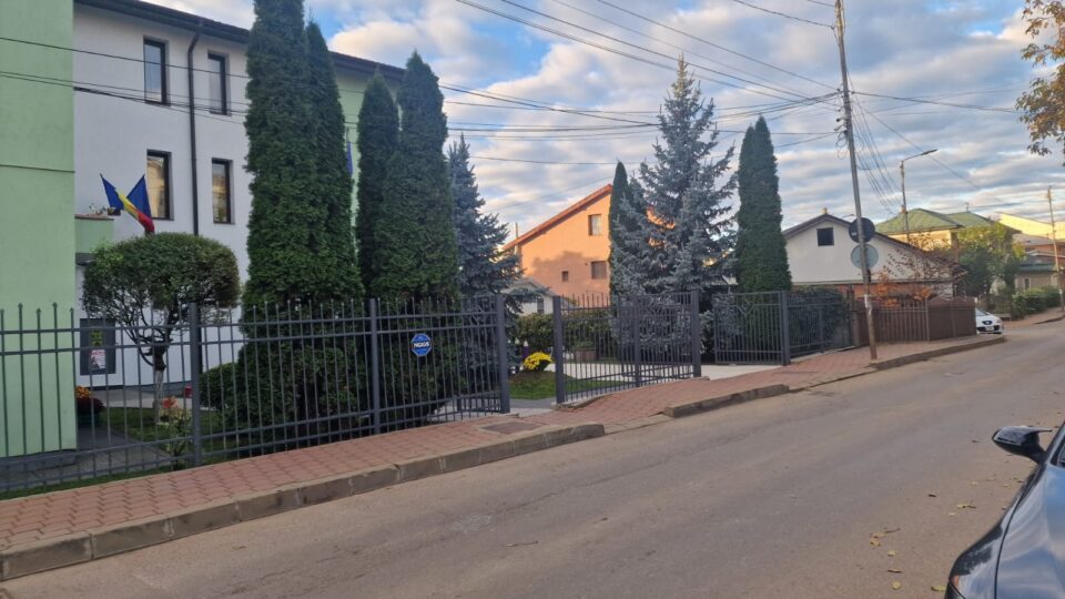 Copil atacat de șapte câini în apropierea Grădiniței Așchiuță