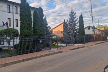 Copil atacat de șapte câini în apropierea Grădiniței Așchiuță