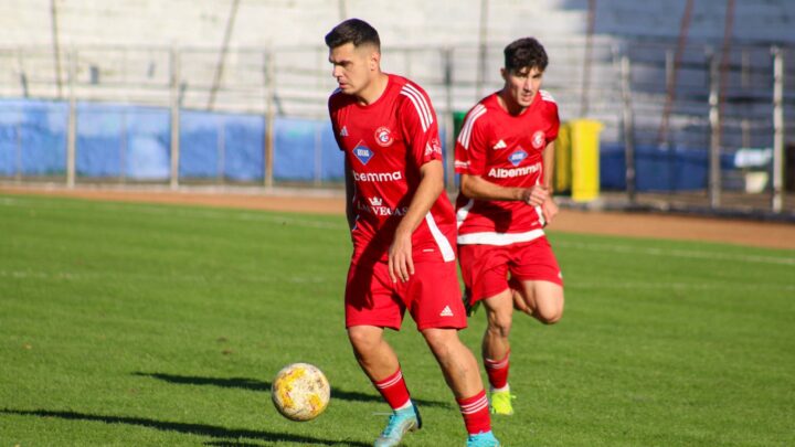 Șoimii au câștigat clar partida de la Bacău