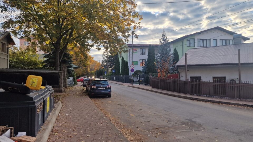 Copil atacat de șapte câini în apropierea Grădiniței Așchiuță