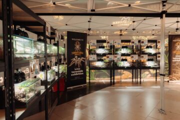 Expoziția de tarantule și reptile vii revine în Iulius Mall Suceava